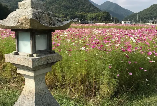 三田市の写真・動画_image_273080