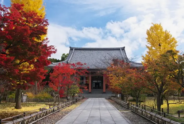 智積院