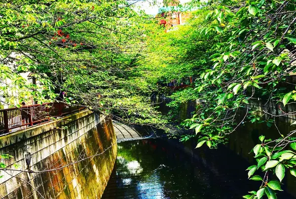 目黒川