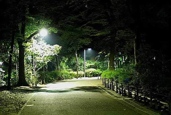 代々木公園