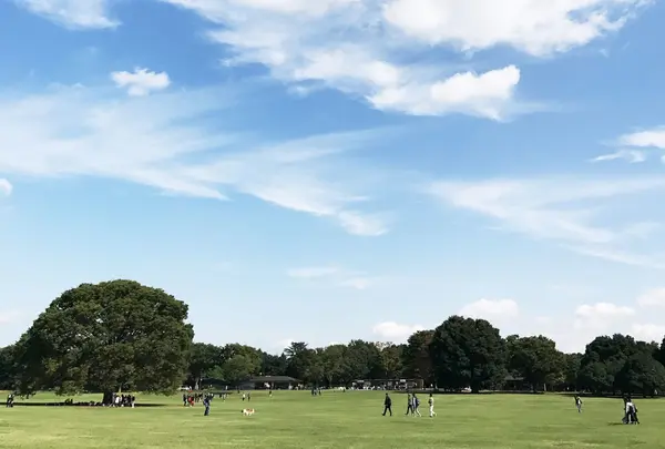 昭和記念公園 みんなの原っぱの写真・動画_image_274978