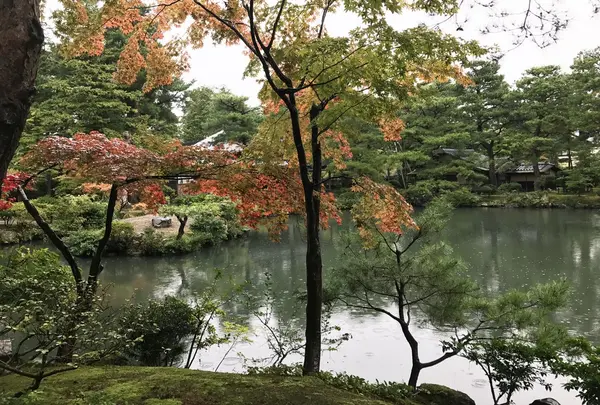 清水園【紅葉の名所】の写真・動画_image_275064