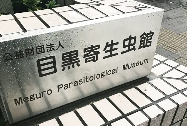 目黒寄生虫館の写真・動画_image_275324