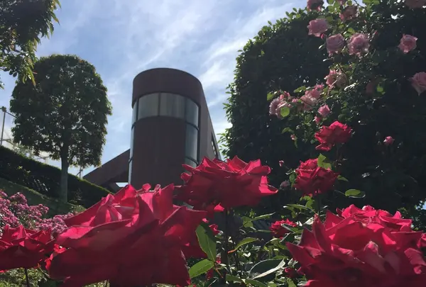 女川原子力PRセンター