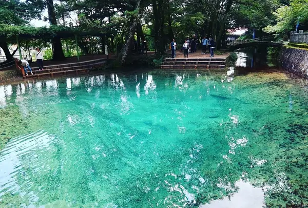 別府弁天池の写真・動画_image_276319