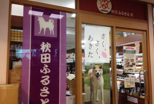 秋田ふるさと館