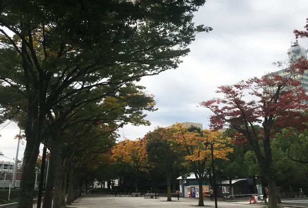 代々木公園