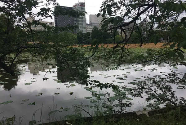 不忍池弁天堂