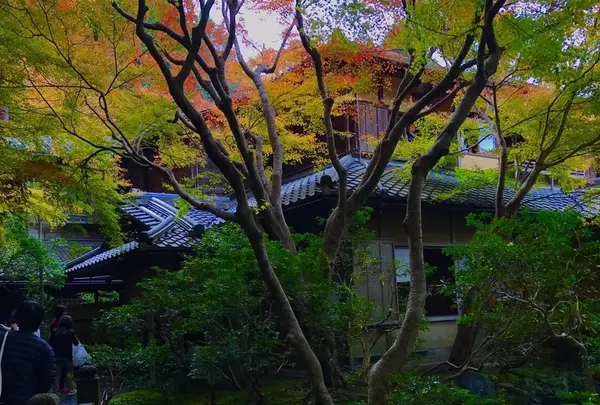 瑠璃光院