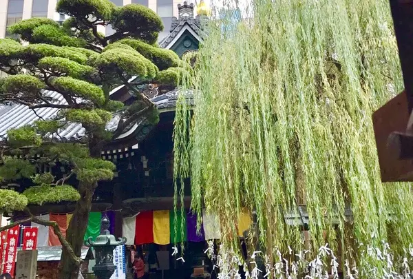 六角堂の写真・動画_image_277702