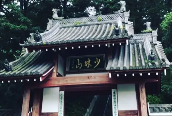 少林山達磨寺の写真・動画_image_277723