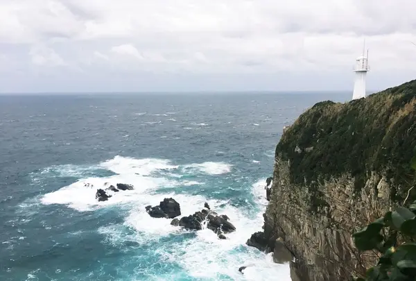 足摺岬の写真・動画_image_277748