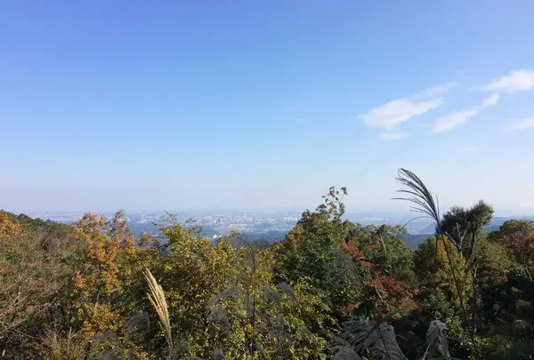 山頂 風景