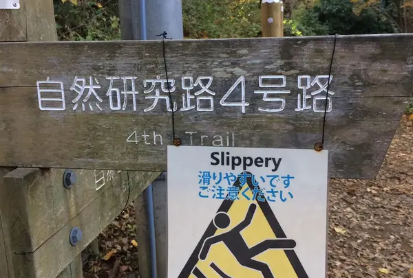 下山は 4号路