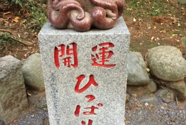 たこ杉の写真・動画_image_278123