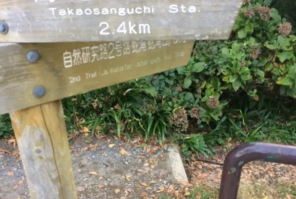 下山 途中