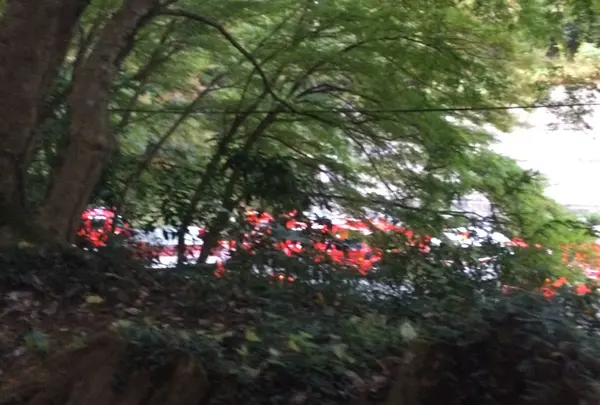 無事に下山