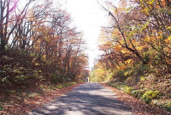 地獄谷遊歩道