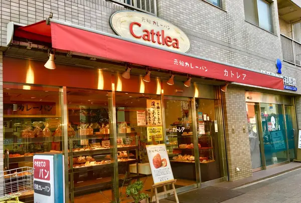 カトレア