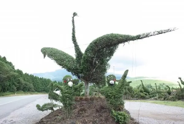 千羽鶴鹿公園