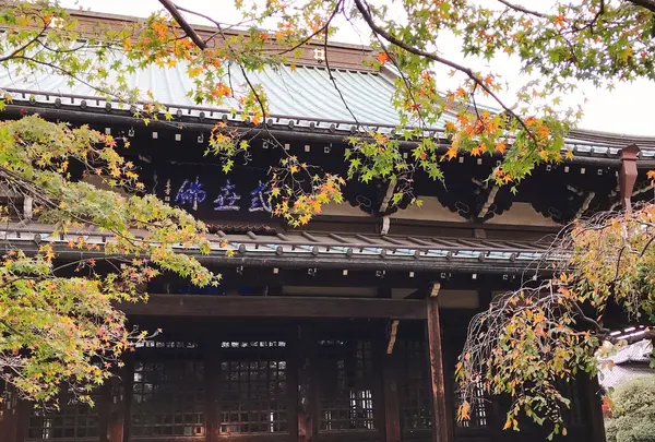 豪徳寺