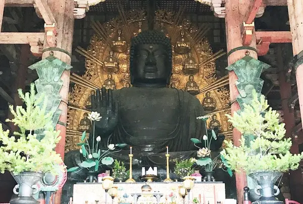 東大寺金堂（大仏殿）の写真・動画_image_279386