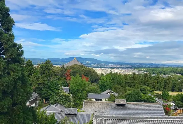 東大寺法華堂（三月堂）の写真・動画_image_279388