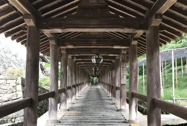 長谷寺の写真・動画_image_279391