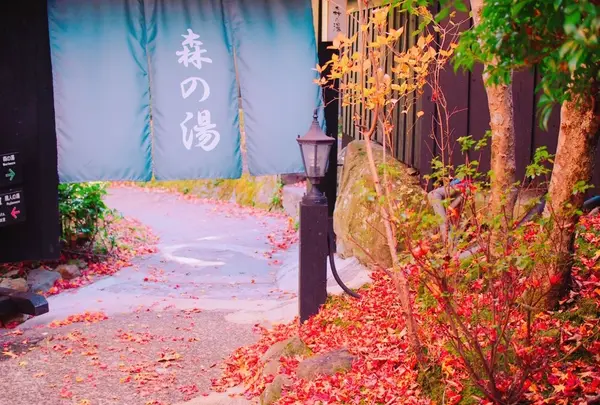 山あいの宿 山みず木の写真・動画_image_279917