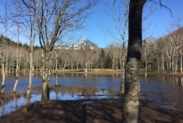 ポンホロ沼
