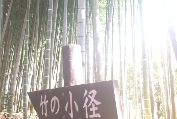 殿ヶ谷戸庭園