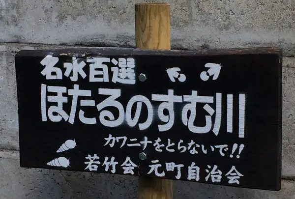 お鷹の道・真姿の池湧水群