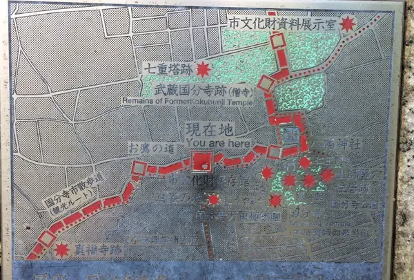 お鷹の道・真姿の池湧水群