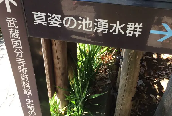 お鷹の道・真姿の池湧水群