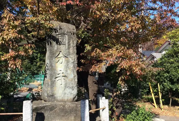 武蔵国分寺跡