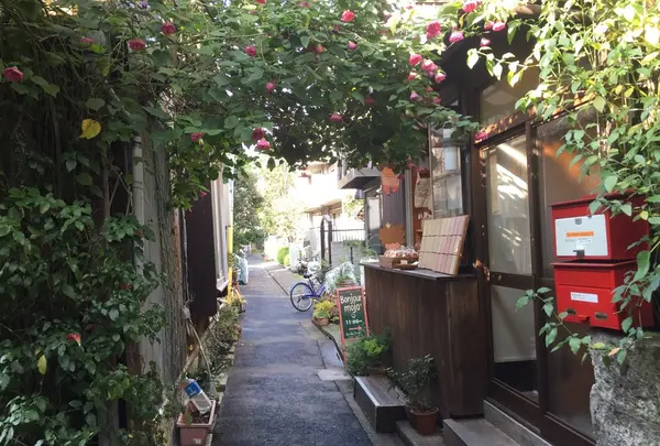 ボンジュールモジョモジョ