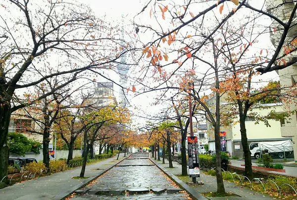 山谷堀公園