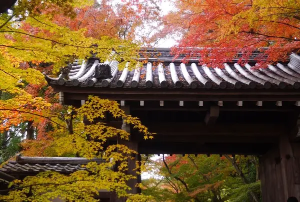光明寺