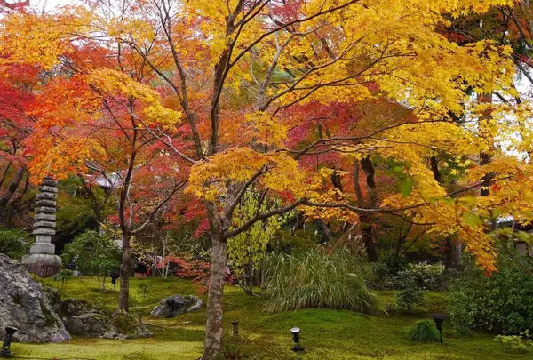 宝厳院