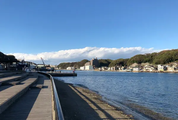 浦賀港の写真・動画_image_282122
