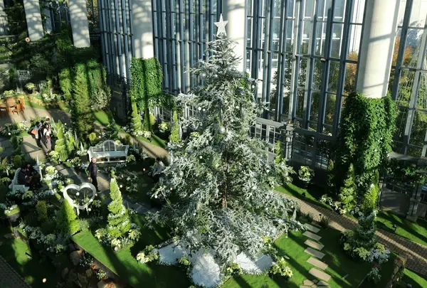 奇跡の星の植物館の写真・動画_image_282383