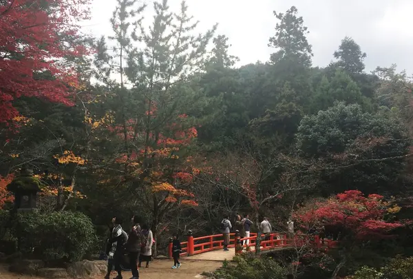 弥山の写真・動画_image_282549