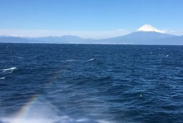 駿河湾フェリー土肥港のりばの写真・動画_image_282555