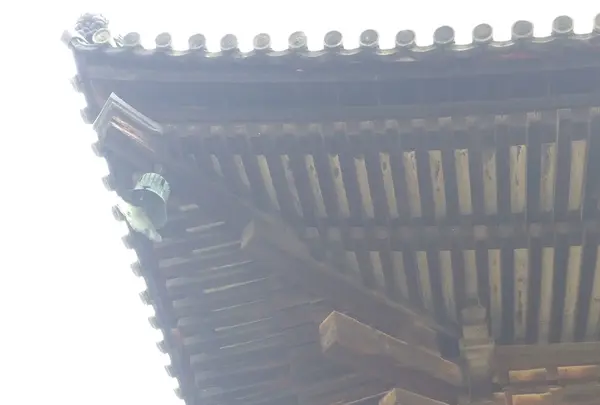 興福寺 東金堂の写真・動画_image_283201