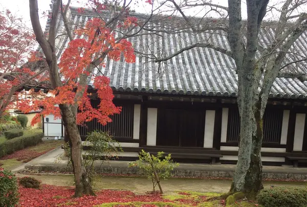 回廊を歩いて 左手に みえます