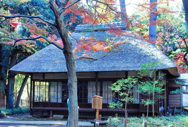 蘆花恒春園