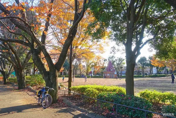 祖師谷公園