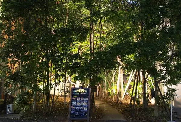 グリーンハウス シルバ