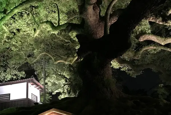 青蓮院門跡