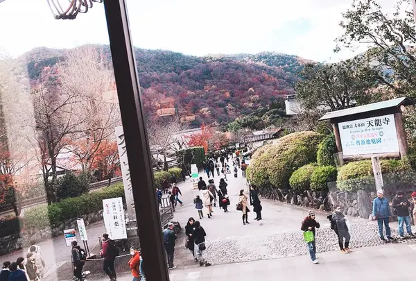 嵐山の写真・動画_image_284322